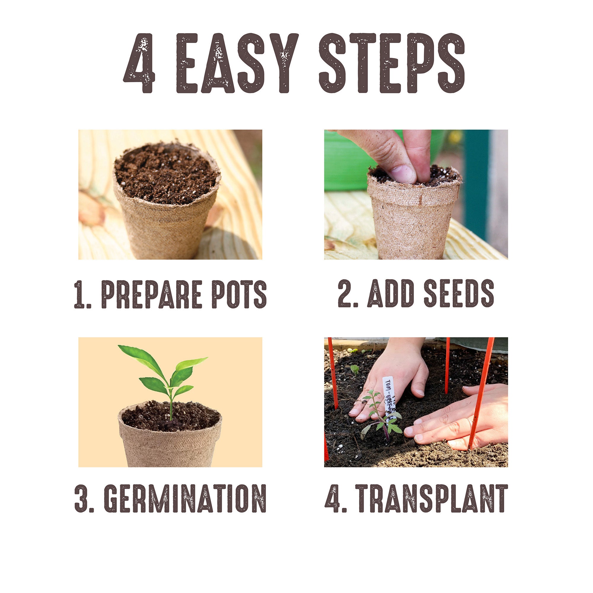How to use peat pots